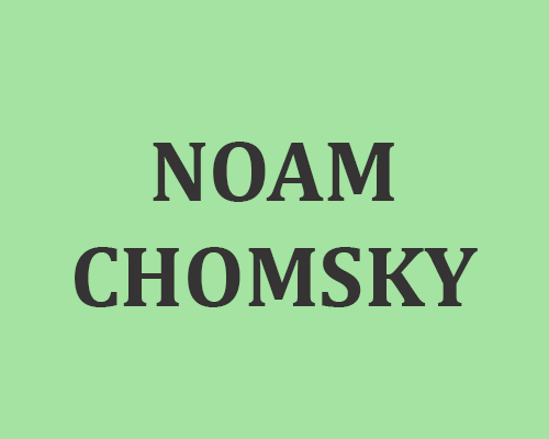 Noam Chomsky, Inteligencia Artificial