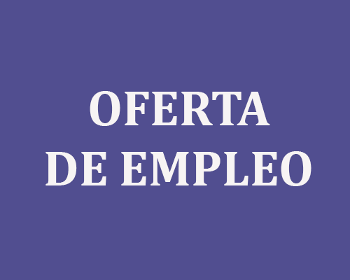 skootik, oferta de empleo, frontend, IA